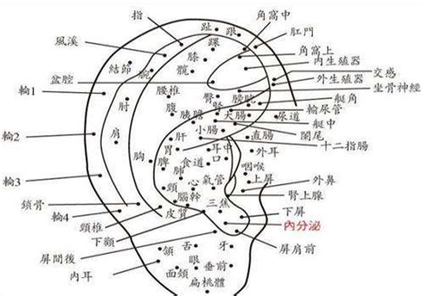 耳有痣女|女人右耳朵有痣图解 耳朵痣十大福痣图片